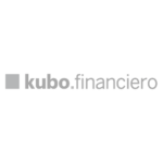 Kubo financiero